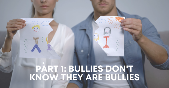 It’s Called a Custody Battle for a Reason – Part 1: Bullies Don’t Know They Are Bullies